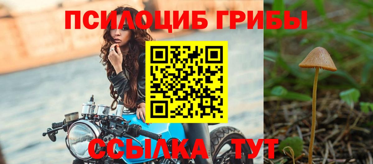 Псилоцибиновые грибы Cubensis Артёмовский