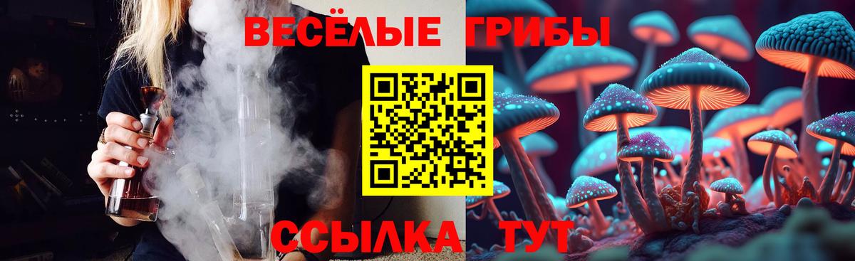 Артёмовский  Галлюциногенные грибы прущие грибы  Вход с VPN 